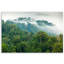 Forest In The Fog Landscape - No Frame Print on Canvas-98482977