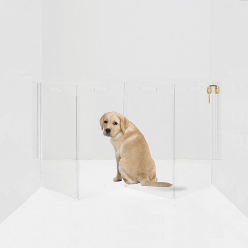 Hiddin Clear Tall Zig Zag Wall Mounted Pet Gate, 4 Panel, Gold