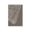 Ensemble de 3 impressions sur toile Timeless Grains-109130139-109130142