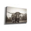 "Epic Graffiti" Longhorn Pastures Sepia "par Nathan Larson, art mural sur toile-102866050