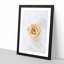 Pale Yellow Rose - Picture Frame Graphic Art Print-56862531-56862533