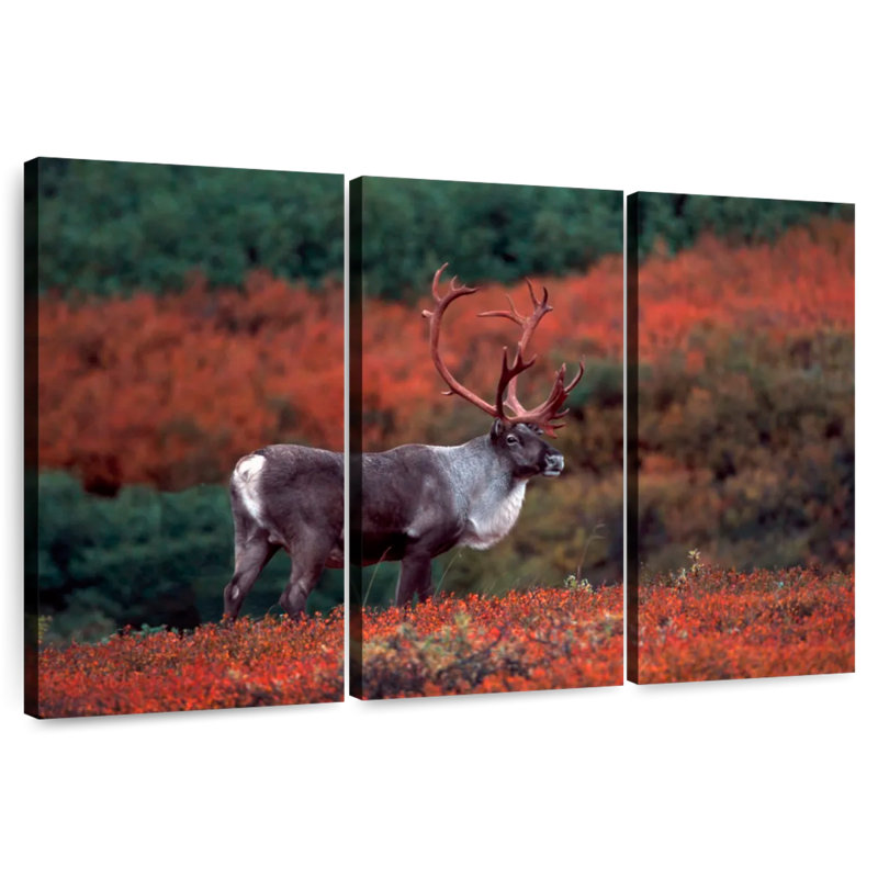 Brampt Autumn Caribou, 32" H x 50" W