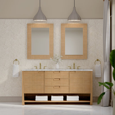 Solene 71.75 " Freestanding Standard Double Bathroom Vanity Base
