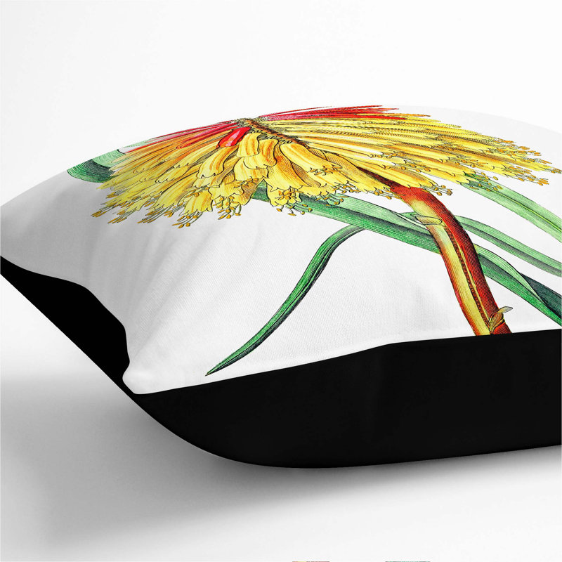 Square Throw Cushion, Black, 40cm H x 40cm W x 15cm D