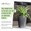 Deltini Pot Planter