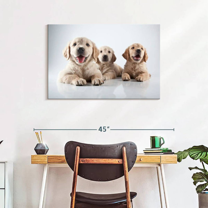 Brampt Golden Retriever Pups, 24" H x 36" W