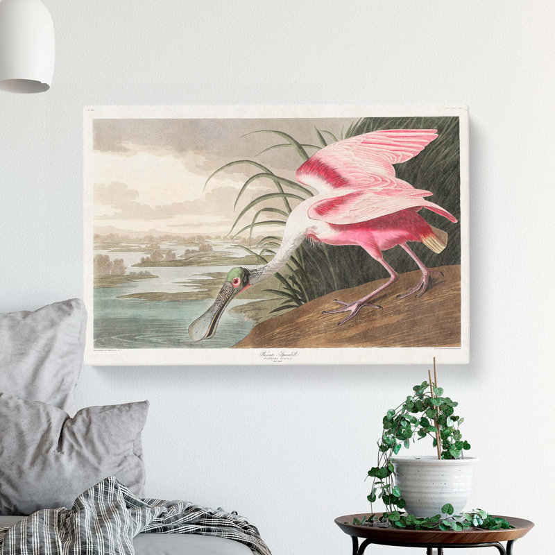 Roseate Spoonbill by John Audubon - Wrapped Canvas Print, 40cm H x 60cm W x 3cm D