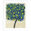 «Lemon Tree Composition II» par Timothy O 'Toole - reproduction d'art encadrée-1244168466-1244168472