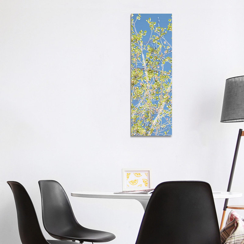 Spring Poplars II by Sharon Chandler - Wrapped Canvas Panoramic Painting, 121.92 cm H x 40.64 cm W x 3.175 cm D