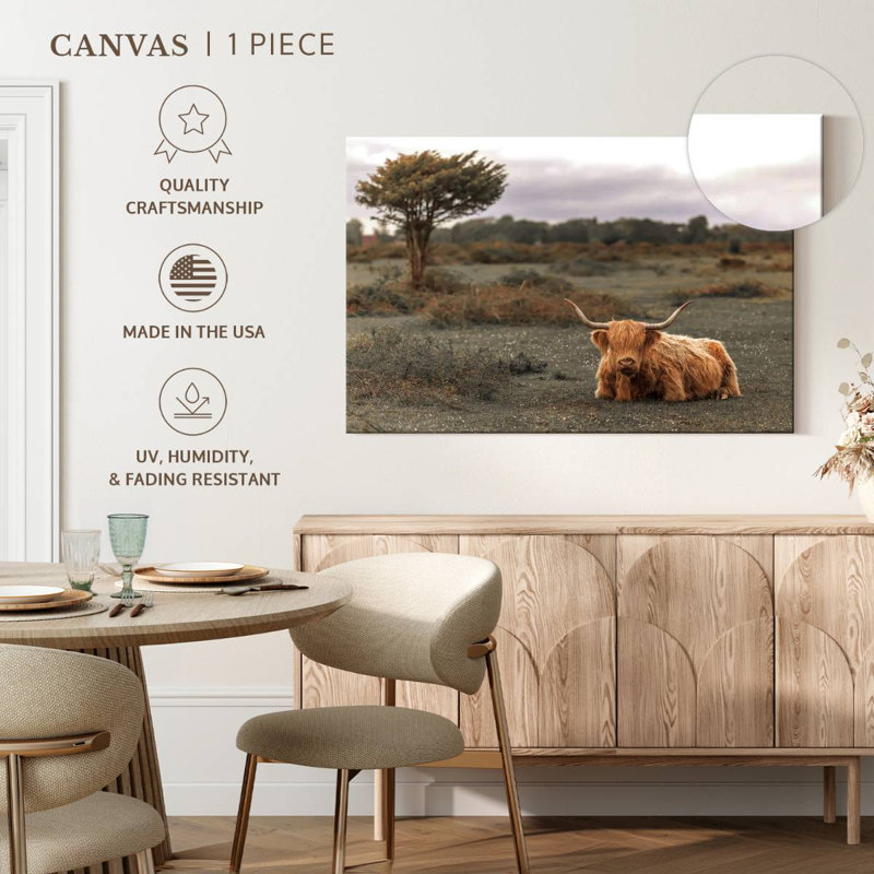 Brown Highland Cow II, 34" H x 51" W