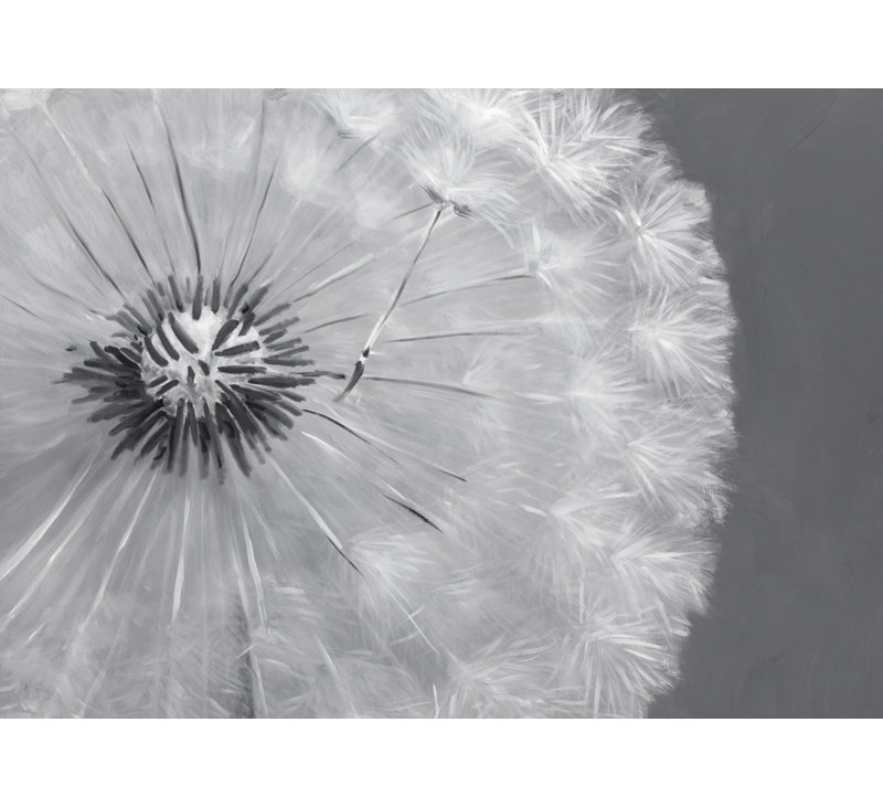 Dandelion Puff Ball - Botanical White Canvas for Home Decor