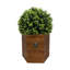 Faux buis 24 po en pot composite