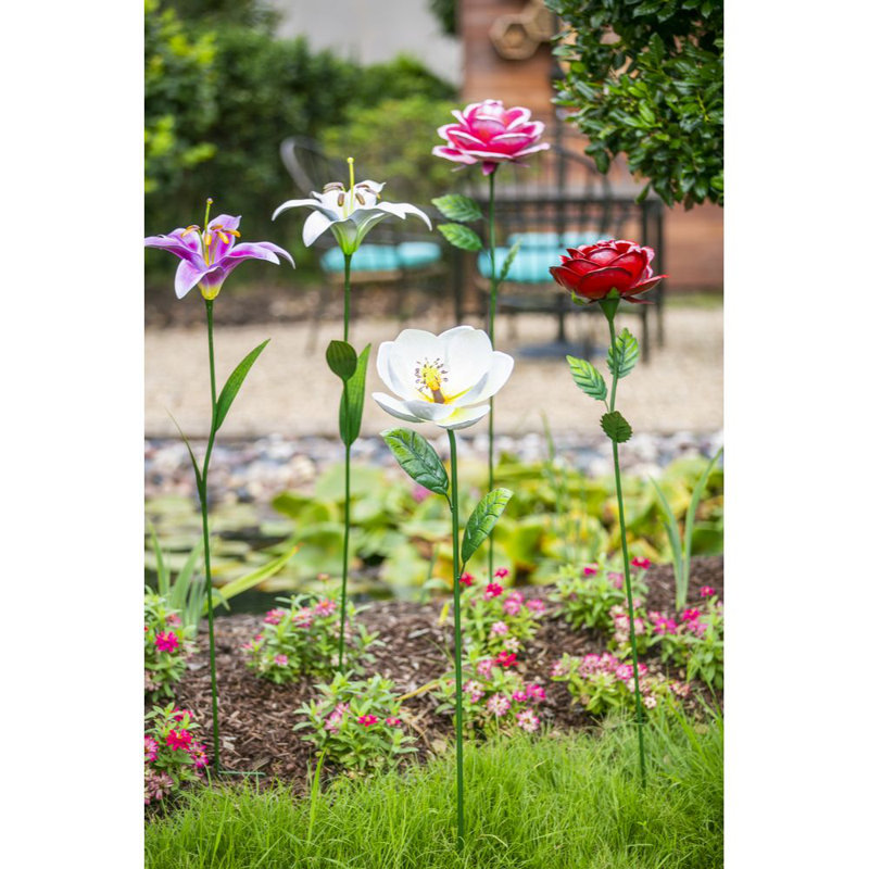 Grand magnolia de jardin