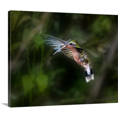 1x Leigh Pelton - Wrapped Canvas Photograph
