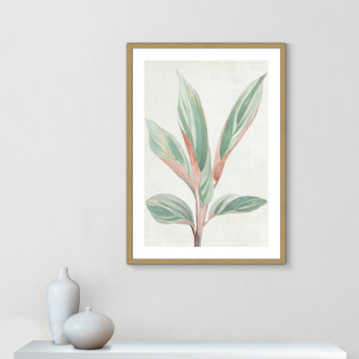 Ginger Plant I - reproduction d'art