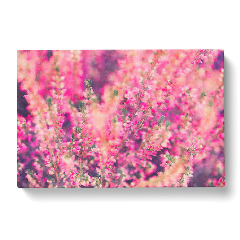 Pink Heather - Wrapped Canvas Print, 35cm H x 50cm W x 3cm D