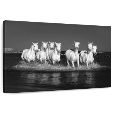 Chevaux de Camargue monochromes Brampt