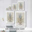 Honeybloom Botanical II - Cavas enveloppés de galerie-108843515