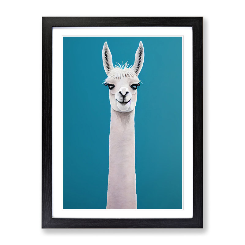 Llama Portrait Vol.4 - Single Picture Frame Print, 46cm H x 34cm W x 2cm D, Black
