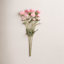 Daisy Floral Stems