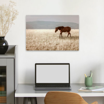 Montana Stallion No. 1 - Photographie, animaux, faune, chevaux, art