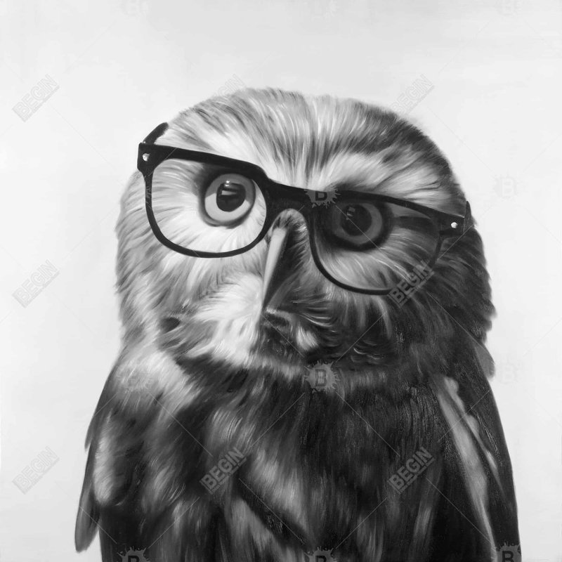 «Petite chouette avec lunettes»