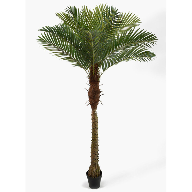 72'' Faux Palm Tree in Pot