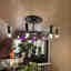 Customer photo 5 of 5