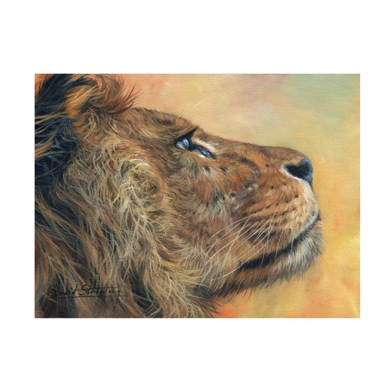 Art sur toile David, H 18 po x l 24 po