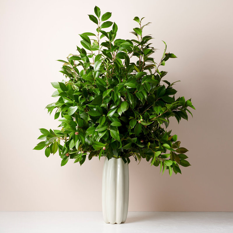 Mirabelle Ceramic Table Vase