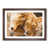 Walnut Framed