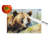 Grizzly Bear Glass Cutting Board Large
