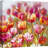 My Oh My by Nel Whatmore - Wrapped Canvas Print-912467204