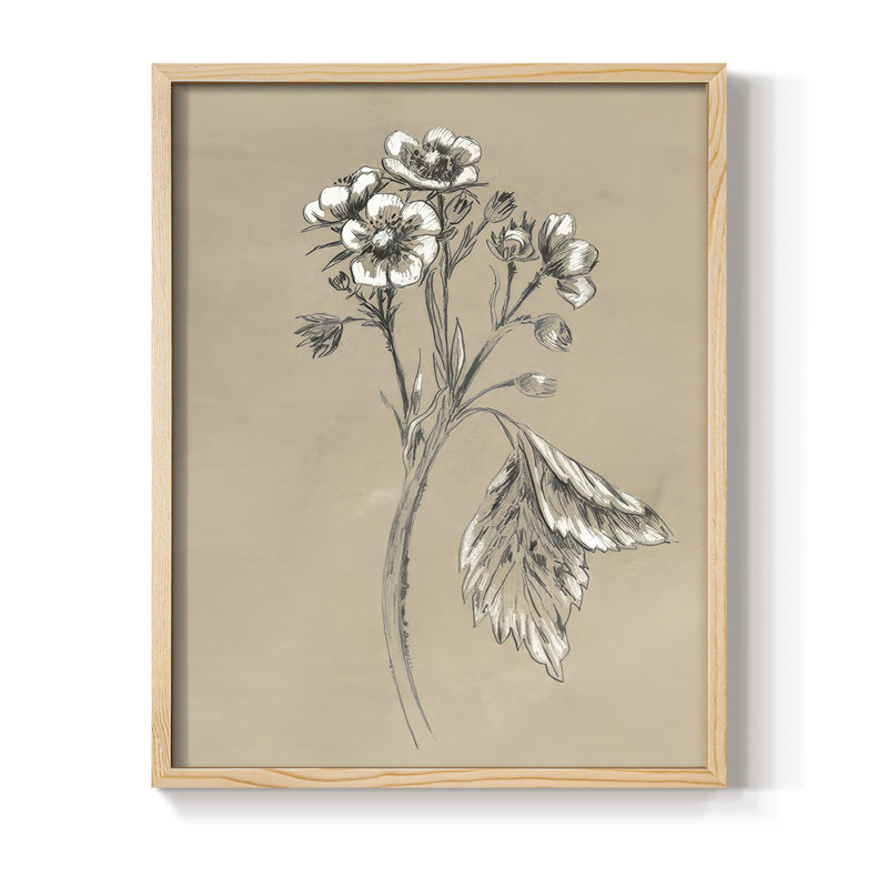 Reproduction encadrée rétro en botanique II, Naturel, H 21 po x l 17 po
