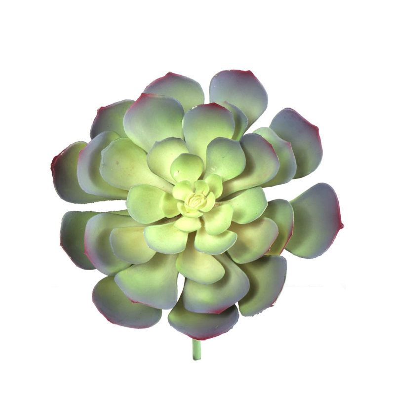 8'' Faux Succulent