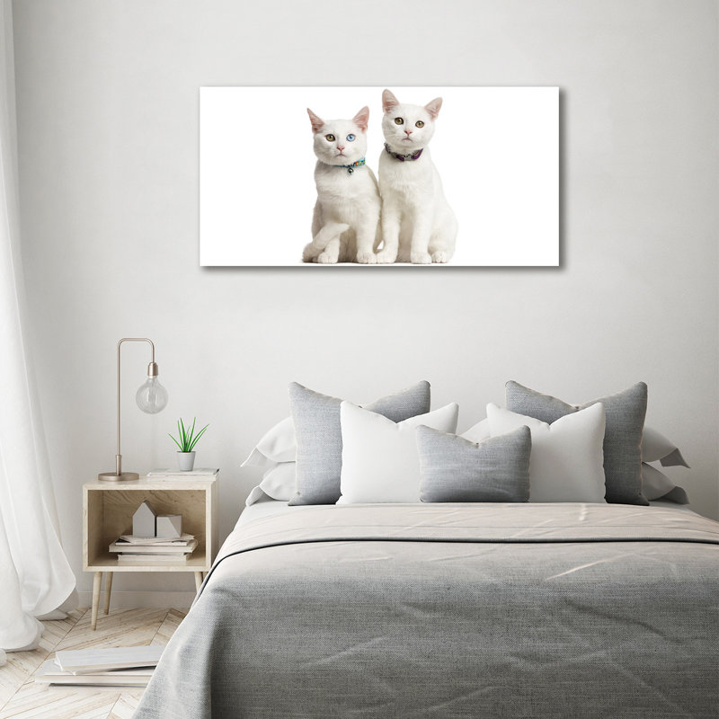 White Cats - Wrapped Canvas Print