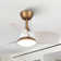 Haywa 28'' Ceiling Fan with LED Lights