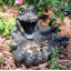 Grand pot à fleurs Biggin 'Gator-1513288259-1513288258