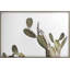 Az Botanical 37 Print by Chris Dunker-47362617