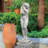 Eve Garden Statue