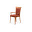 Morgan Upholstered Arm Chair-22557525-22354536