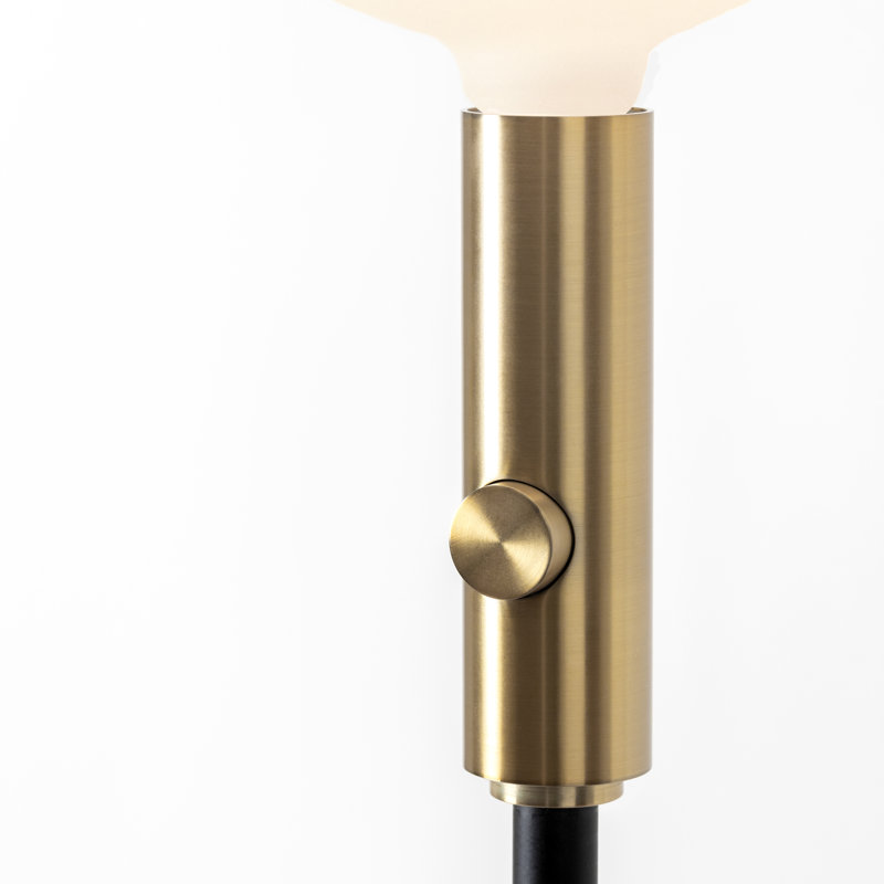 LED Floor Lamp