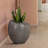 Camberlynn Pot Planter-2006349813