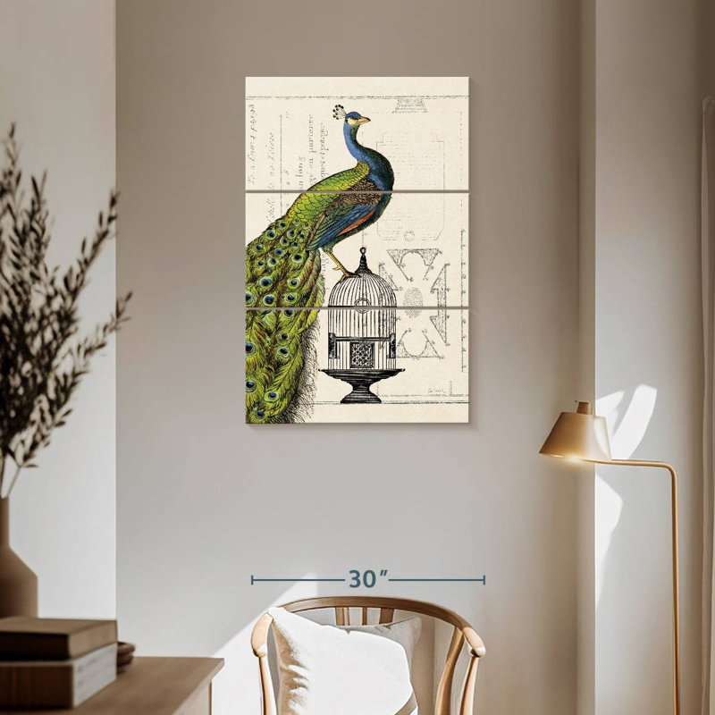 Cage à oiseaux Brampt Peacock I