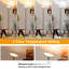 Dawnel 180cm Torchiere Floor Lamp