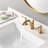 2-handle Bathroom Faucet with Drain Assembly-86794408