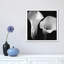 Softness II by Assaf Frank - Floater Frame Print on Canvas-170688748-170688750