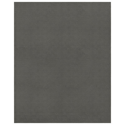  Brentwood Jasmine 12 ft. x 15 ft. Area Rug Cinder Gray
