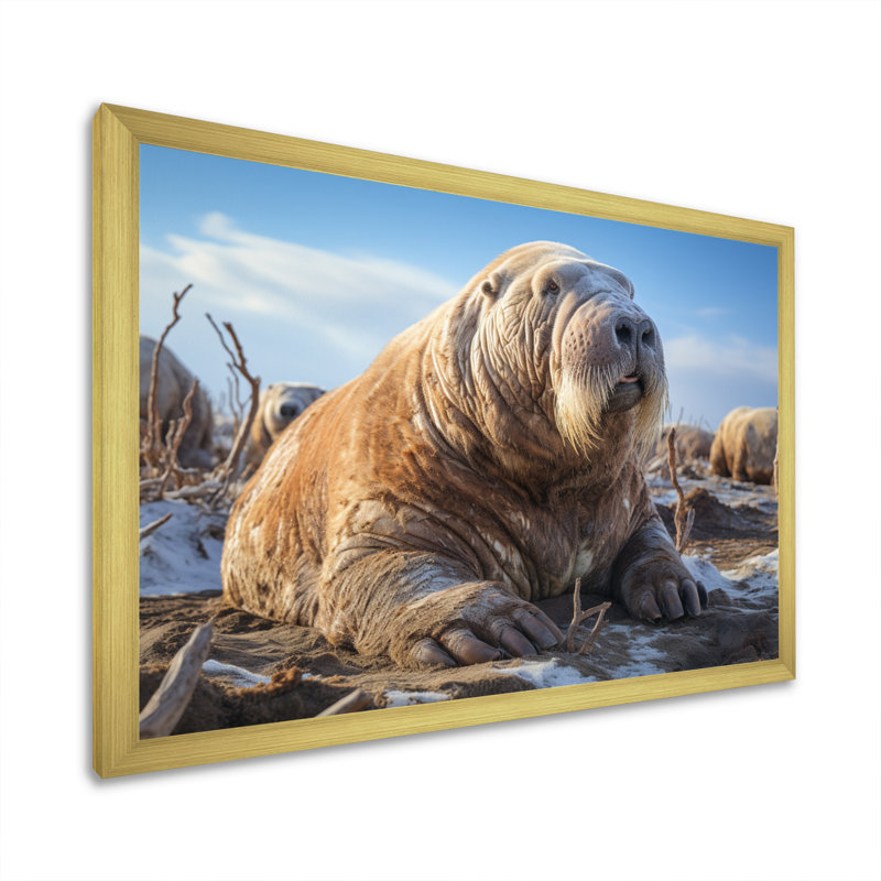 Morse toundra très grand - Reproduction d'art mural animaux, H 34 po x l 44 po x P 1,5 po, Cadre doré à une seule photo