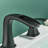 2-handle Bathroom Faucet with Drain Assembly-86663668